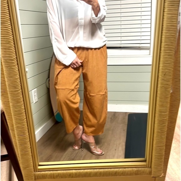 Bryn Walker,Oliver Faux Contemporary Suede Lantern Pants Miele, Size Small - Picture 6 of 14